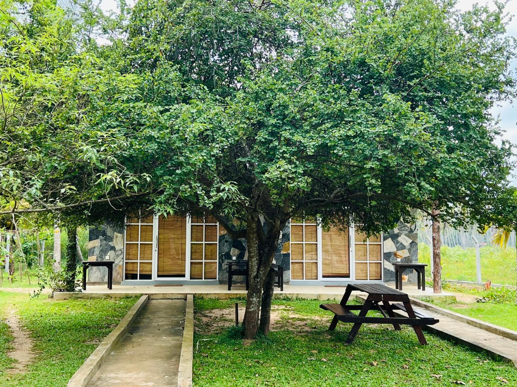 Coco Village Hotel 칠라우 외부 사진